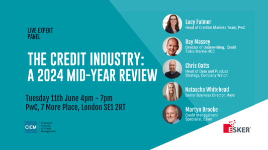 The Credit Industry: A 2024 Mid-Year Review | 11th June 2024