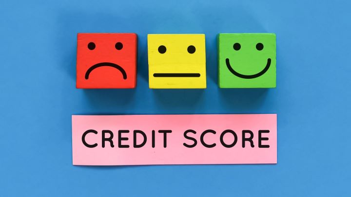 Company Credit Rating